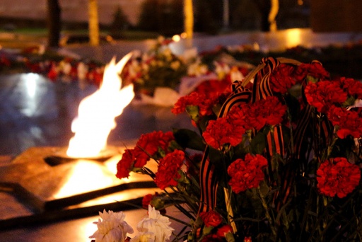 Поисковая деятельность санкт-петербургской «Молодой гвардии»