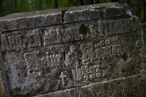 Аллея Свято-Троицкого кладбища Петергофа признана памятником культуры