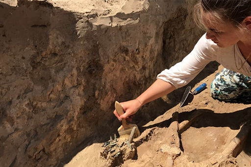 Могильник XIV века обнаружен в Волосовском районе Ленинградской области