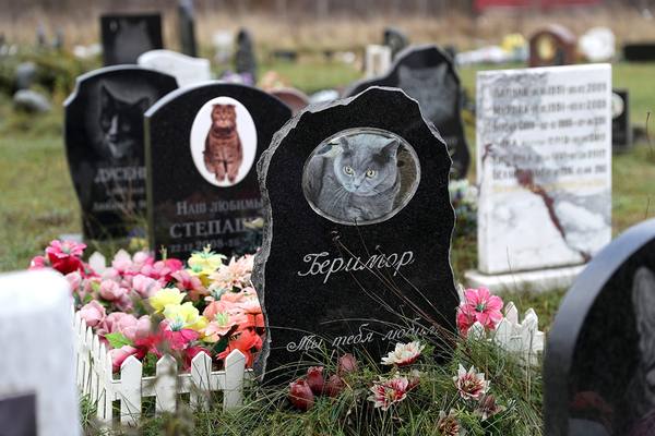 Ленинградское кладбище домашних животных Ленинградское кладбище домашних животных